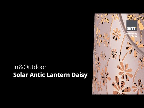 Solar Laterne Daisy altrosa 32.5x20cm