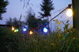 Profi Illu-Lichterkette 10m schwarz mit 10 farbigen Leuchtmittel G45 - Lichterketten Shop